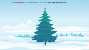 Grammar tuto - File 3 - Les quantifieurs